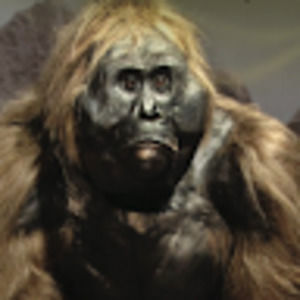 Meet your Posher, Graham